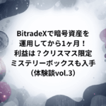 BitradeXで暗号資産を運用してから1ヶ月！利益は？クリスマス限定ミステリーボックスも入手（体験談vol.3）