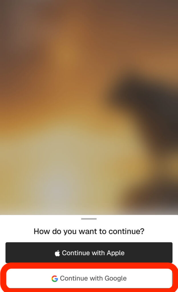 Continue to Google