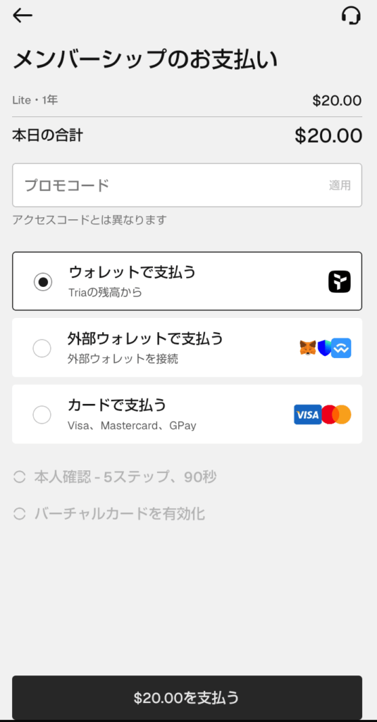 支払い画面